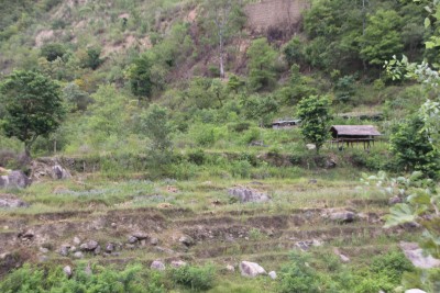  सिँचाइमा क्षति पुग्दा बाँझिए खेतबारी 